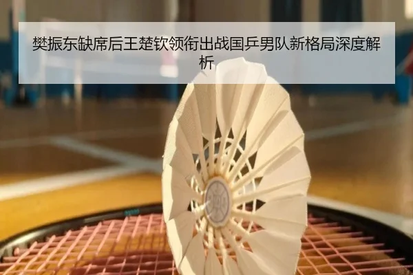 樊振东缺席后王楚钦领衔出战国乒男队新格局深度解析 | ACMilanSports
